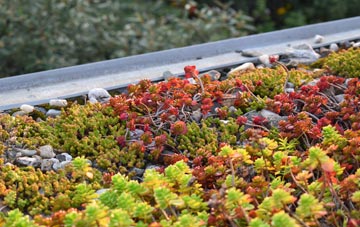 the cost of Harts Green green roof installation