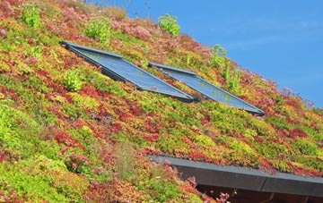 Harts Green living roof systems