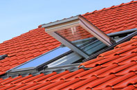 Harts Green roof window
